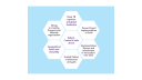 KNCV Comparative Advantages.png