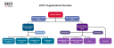 KNCVs Organizational Structure in a graph