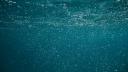 An under water photo, showing bubbles streaming up towards the surface