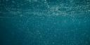 An under water photo, showing bubbles streaming up towards the surface